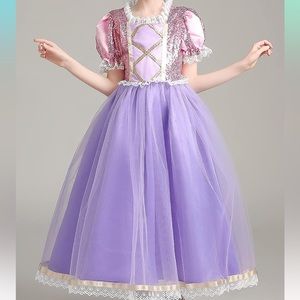 Brand new pink and purple princess costume 2-3T